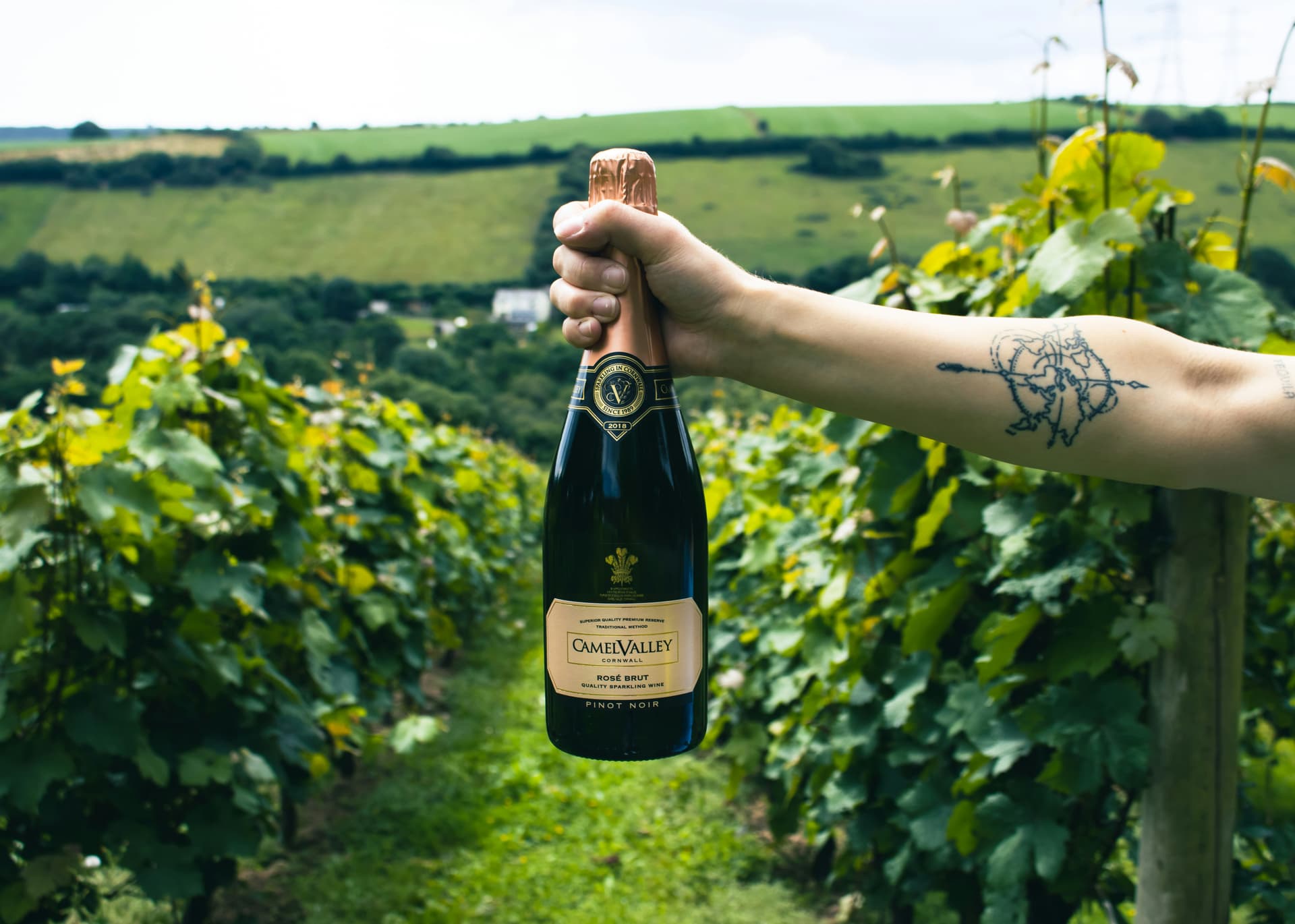 Exquisite champagne cellars with aged bottles